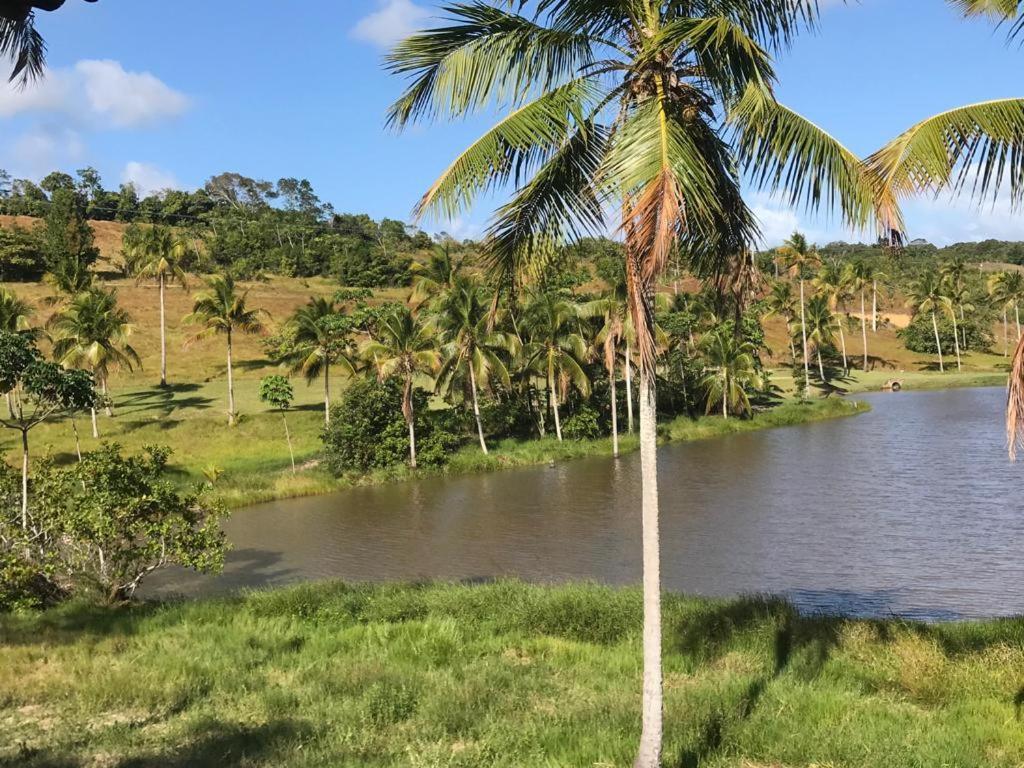 Oka Milagres 22 Villa Sao Miguel dos Milagres Bagian luar foto